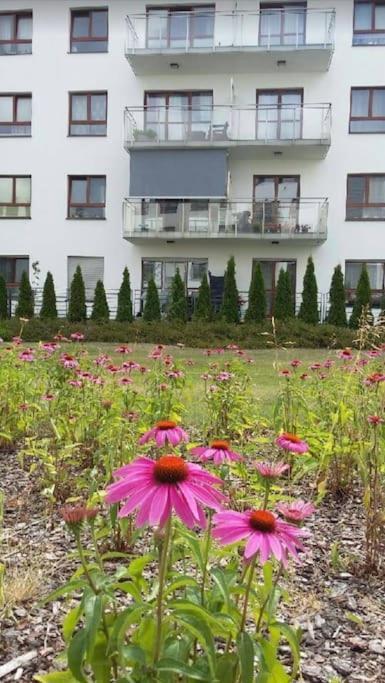 Apartment Wilanow Comfort, Klimatyzacja, Garaz, Fast Wifi